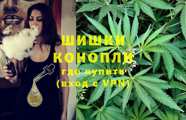 дурь Арсеньев