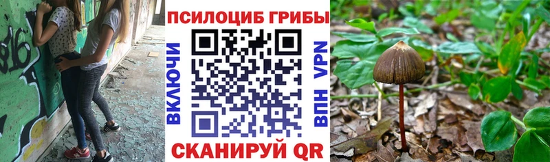 Галлюциногенные грибы мухоморы  Зуевка 