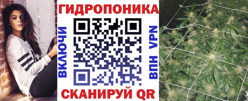 дарнет шоп Зуевка Конопля SATIVA & INDICA
